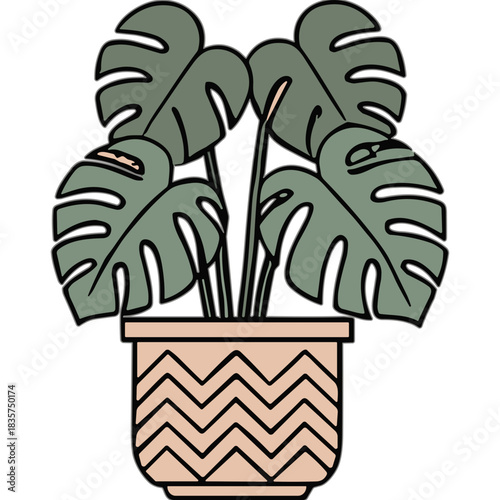 Large Green Monstera Deliciosa Plant in a Decorative Zigzag Pattern Beige Pot Isolated on a Black Background Minimalist Vector Illustration