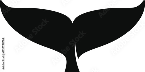 whale tail vector