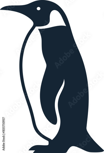 penguin vector illustration
