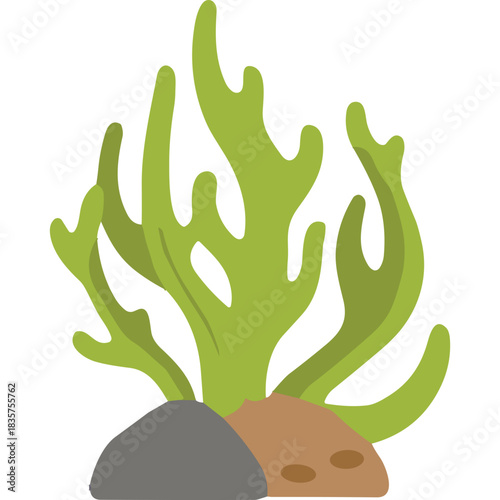 Green Algae Plant And Rocks Underwater Scene With Dark Background