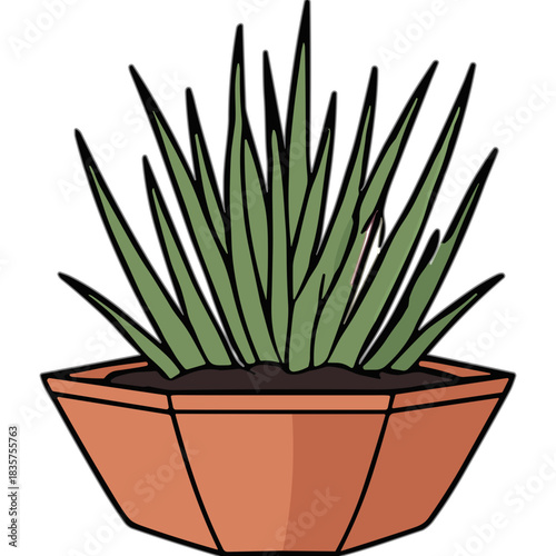 Green Agave Plant in Octagonal Terracotta Pot with Dark Soil and Black Background Vibrant Foliage with Detailed Textures and Sharp Edges