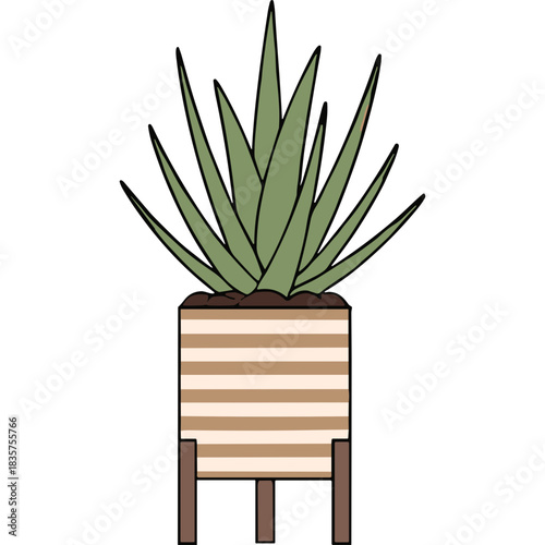 Green Agave Plant in a Striped Decorative Pot on a Wooden Stand Isolated on Black Background Perfect for Home Decor and Interior Design