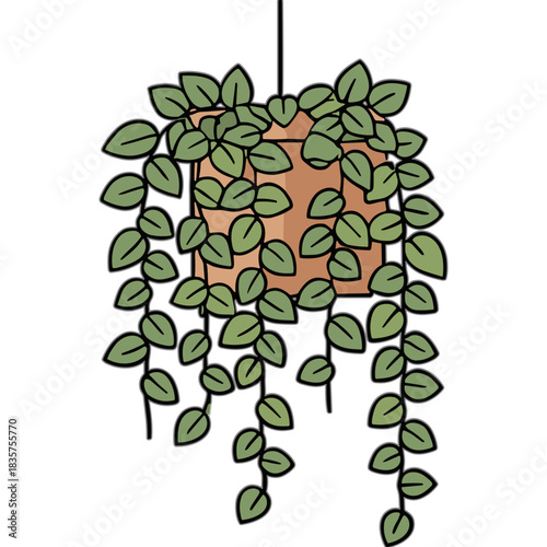 Green Hanging Pothos Plant with Heart Shaped Leaves in a Terracotta Pot Against a Black Background