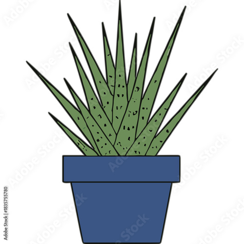 Green Aloe Vera Plant in a Blue Pot Isolated on a Black Background Simple Minimalist Illustration