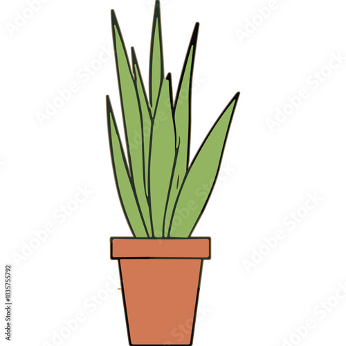 Green Aloe Vera Plant in a Terracotta Pot Isolated on a Transparent Background Simple Minimalist Vector Illustration of a Potted Succulent Plant
