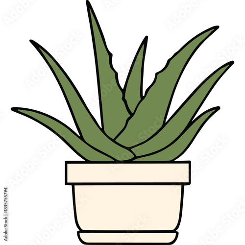 Green Aloe Vera Plant in a White Pot with a Black Background Simple Vector Illustration Natural Element for Home Decor and Wellness