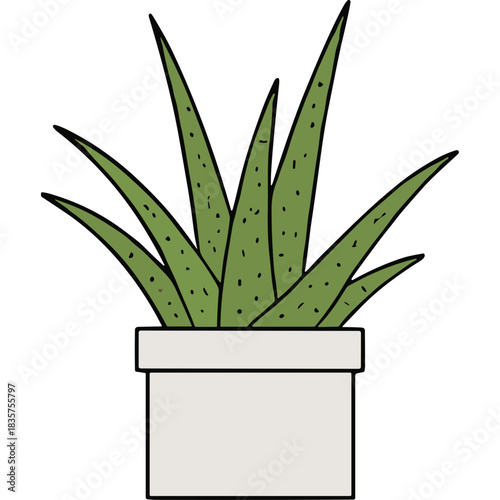 Green Aloe Vera Plant in a White Square Pot with Speckled Leaves Against a Transparent Background Simple Line Art Illustration Style