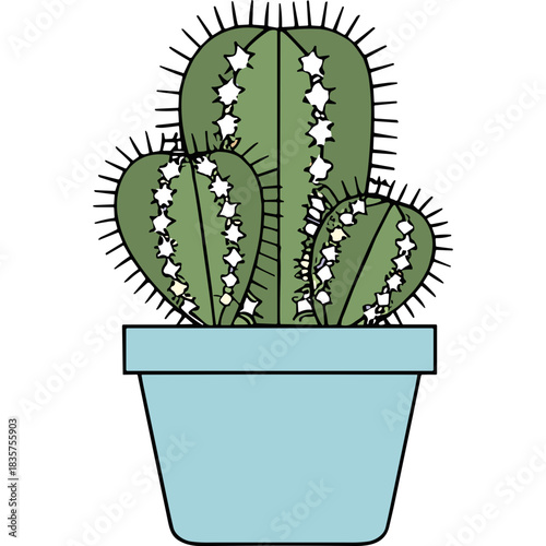 Green Cactus Plant With White Flowers In A Light Blue Pot On Black Background