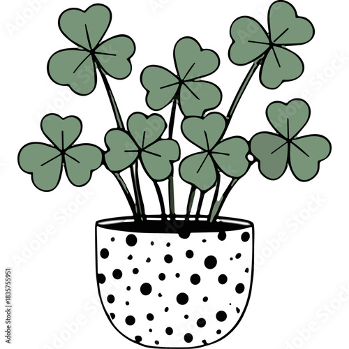 Green Clover Plant in a Black Polka Dot White Pot on a Black Background Simple Botanical Illustration