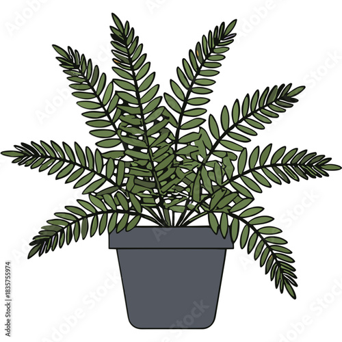 Green fern plant in a dark gray pot against a black background featuring detailed green leaves and a clear illustration style perfect for home decor and botanical themes