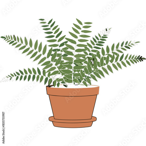 Green Fern Plant in a Terracotta Pot Isolated on a Black Background Healthy Foliage Lush Growth Natural Beauty Home Decor Element
