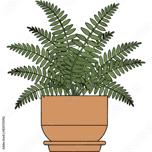 Green Fern Plant in a Terracotta Pot with Subtle Shading and a Flat Lid Base Isolated on a Transparent Background