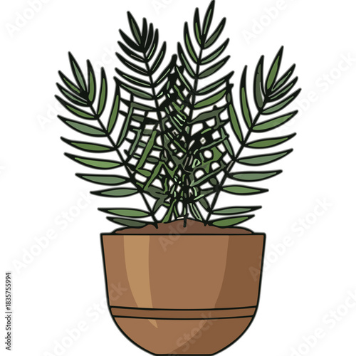 Green Fronds Plant in a Brown Terracotta Pot Isolated on Black Background with Realistic Shadows and Highlights and Leafy Foliage