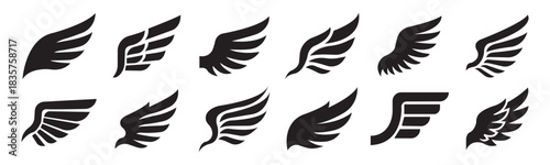 A collection of stylized wing symbols with bold forms, dynamic feather silhouettes, and clean aerodynamic curves, designed for logos, emblems, speed concepts, and modern graphic use.