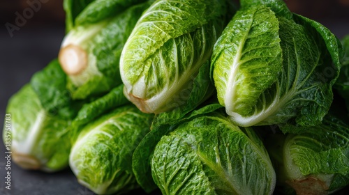 Fresh Little Gem Lettuces: Close-up of crisp, vibrant little gem lettuces, their fresh green leaves tightly packed, ready to be enjoyed as a culinary delight or a healthy ingredient.
