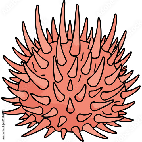 Illustration Of A Coral Pink Spiky Microorganism Or Virus With Black Outlines On A Black Background Macro View