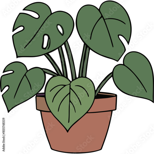 Illustration Of A Potted Monstera Deliciosa Plant With Large Green Leaves In A Terracotta Pot On A Black Background Minimalist Style