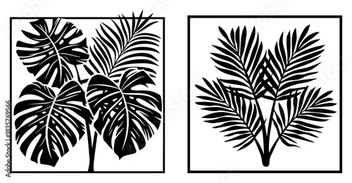 Set of tropical palm and monstera leaf silhouettes in frames vector