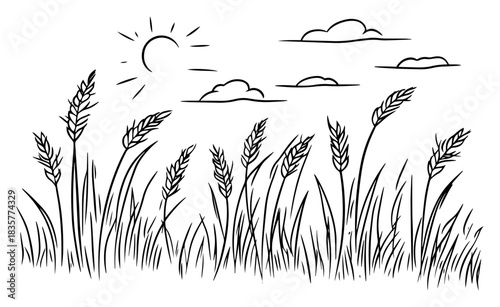 Wheat grain field meadow landscape with sun and clouds vector sketch