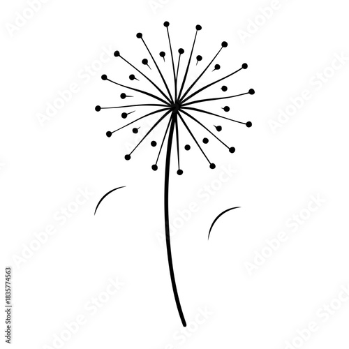 abstract dandelion line art flower