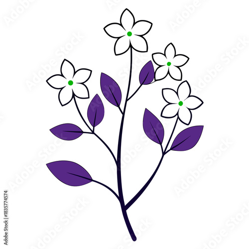  dames rocket white line art flower