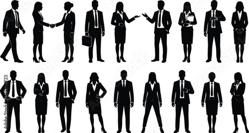 Business, professionals, corporate, teamwork, diversity, silhouette, formal, attire, office, communication, leadership, success, career, meeting, strategy, handshake, collaboration