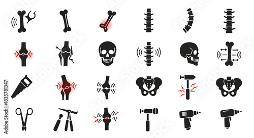 Detailed vector illustration showcasing a comprehensive set of human joints and bones, ideal for educational materials and medical diagrams, presented in a clear graphic style.