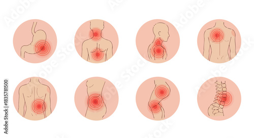 A comprehensive vector illustration set depicting various human body pain points, including joints, bones, and internal organs, ideal for medical and health-related infographics.