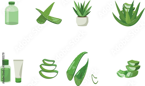 Collection of aloe vera vector illustrations showing sliced leaves, skincare bottles, cosmetic gel, and natural herbal plant for beauty treatment.