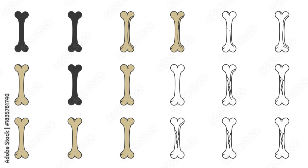 Naklejka premium A vector illustration presents a set of human bones, showcasing detailed anatomy and design, perfect for medical, educational, or artistic projects with a clean and informative style.