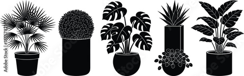 Modern Indoor Potted Houseplant Silhouette Collection Set Vector Graphic, Including Tropical Palm, Monstera, Succulent, and Topiary, for Interior Decor and Botanical Design.