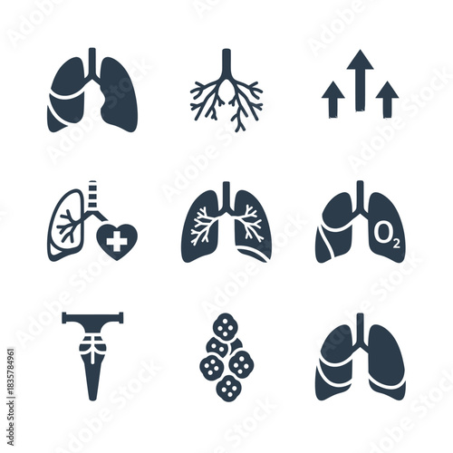 Lungs and Respiratory System Icon