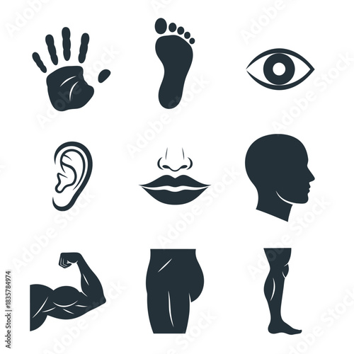 uman Face and Body Parts Icon