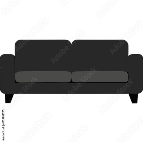 Modern Charcoal Gray Two Seat Sofa with Clean Lines and Minimalist Design on a Black Background