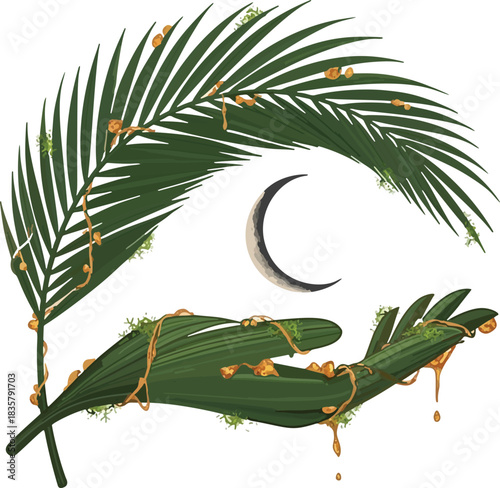 Mystical tropical palm fronds embracing crescent moon vector illustration isolated on transparent background, for bohemian, natural, and night themes, svg.