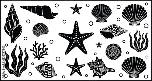 Black and white vector illustration of various seashells starfish coral and seaweed ocean