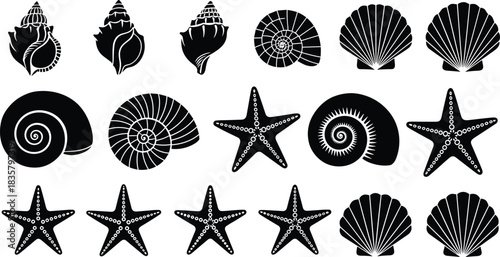 Black silhouette collection of seashells and starfish on white background ocean