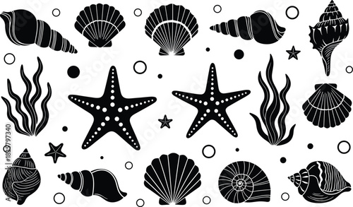 Black silhouette collection of seashells starfish seaweed and circles on white background ocean marine