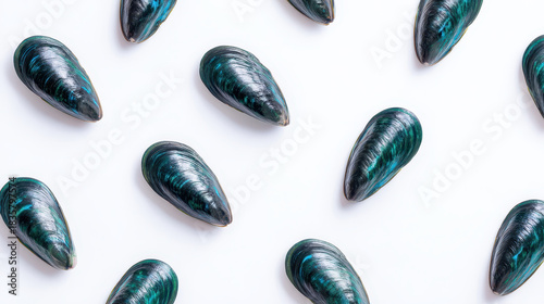 Fresh blue mussel shell pattern on white background with natural texture and glossy surface