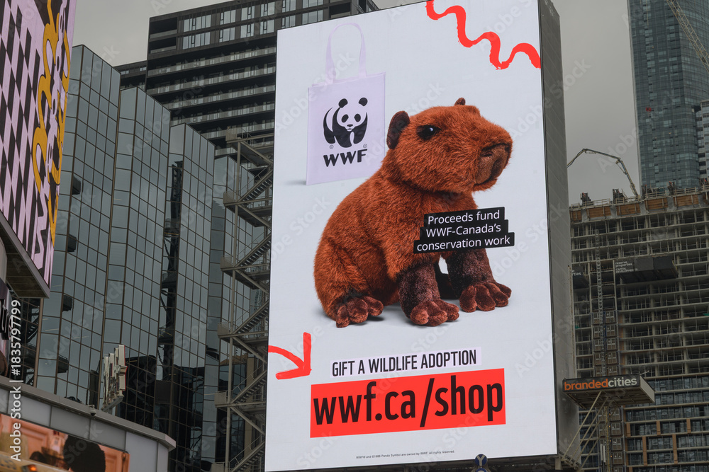 Naklejka premium digital billboard near Sankofa Square featuring an ad by WWF on a cloudy day in Toronto