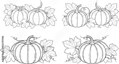 Four black and white line art illustrations of pumpkins with leaves and vines squash gourd