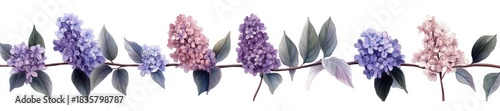Delicate watercolor painting of lilac flowers on a branch with green leaves against white background