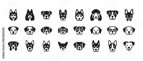 Dog breeds collection, cute cartoon character faces, simple pet head icons set, graphic animal vector illustration