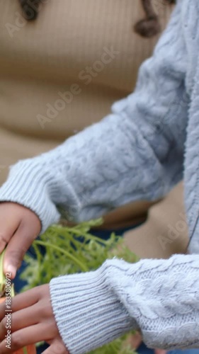 Vertical video: Child pulling carrot and cleaning root in raised garden bed with green pot for meal