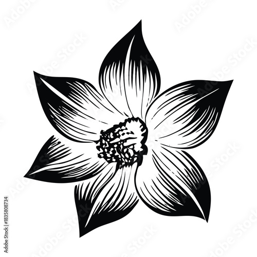 Hand drawn vector of bluebell flowers with layered petals delicate stems and botanical accuracy