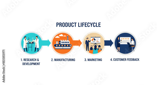 Understand the product lifecycle from research to customer feedback for strategic business growth and market success, a modern illustration for success