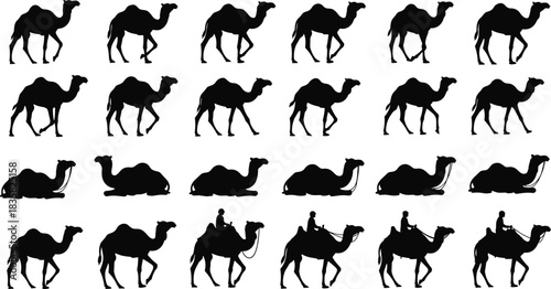 Vector Silhouettes of Camels in Various Poses: Walking, Resting, and Ridden by Man, Ideal for Desert and Wildlife Design.