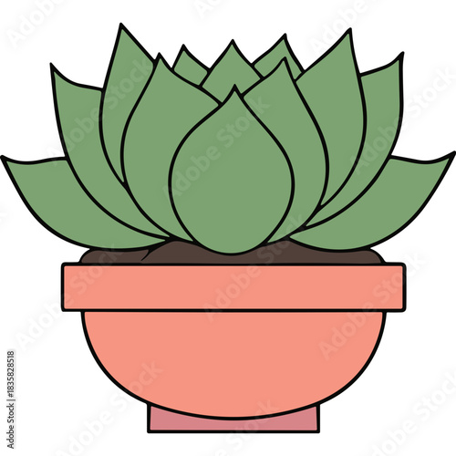 Simple Illustration Of A Green Succulent Plant In A Pink Terra Cotta Pot With Dark Soil Against A Black Background
