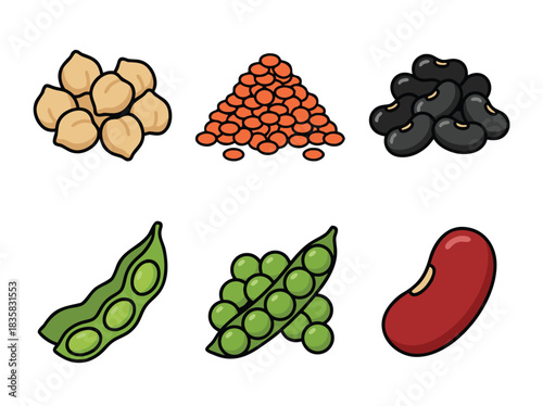 Diverse Legumes Illustration - Chickpeas, Lentils, Beans, and Peas.
