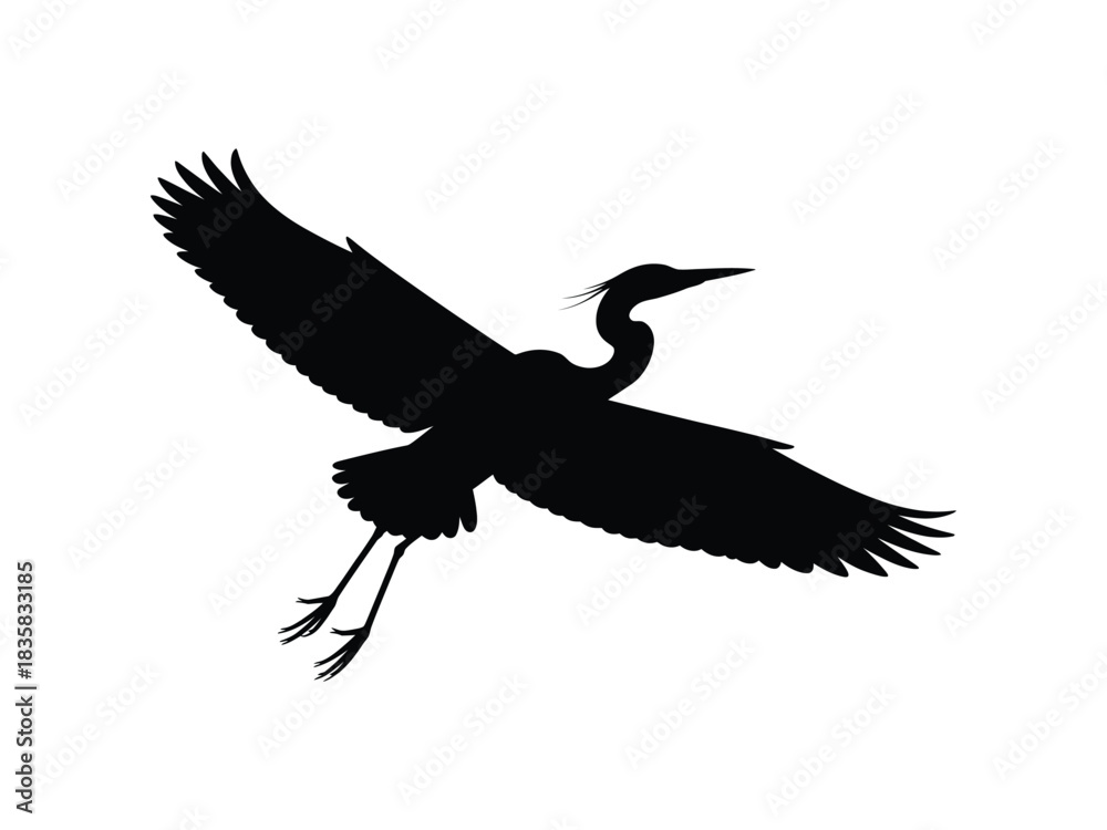 Obraz premium Flying Heron or Egret Bird Silhouette Vector | Great Blue Heron in Flight